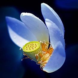 CCP伦敦正在开发一款《EVE Online》战术FPS游戏 尚处于早期开发阶段